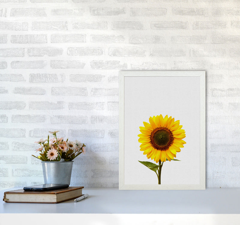 Sunflower Still Life Print By Orara Studio, Framed Botanical & Nature Art Print A3 Oak Frame