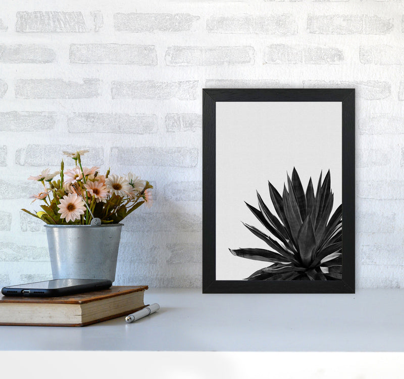 Agave Cactus Black And White Print By Orara Studio, Framed Botanical Nature Art A4 White Frame