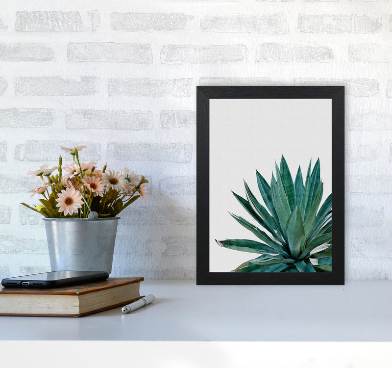 Agave Cactus Print By Orara Studio, Framed Botanical & Nature Art Print A4 White Frame