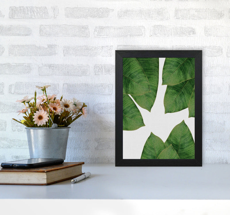 Banana Leaf I Print By Orara Studio, Framed Botanical & Nature Art Print A4 White Frame