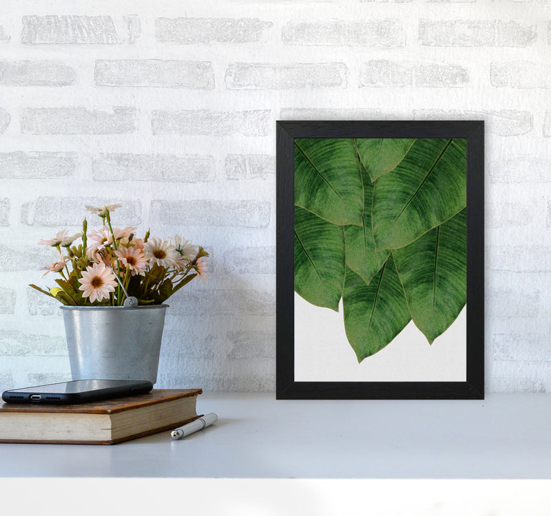 Banana Leaf III Print By Orara Studio, Framed Botanical & Nature Art Print A4 White Frame