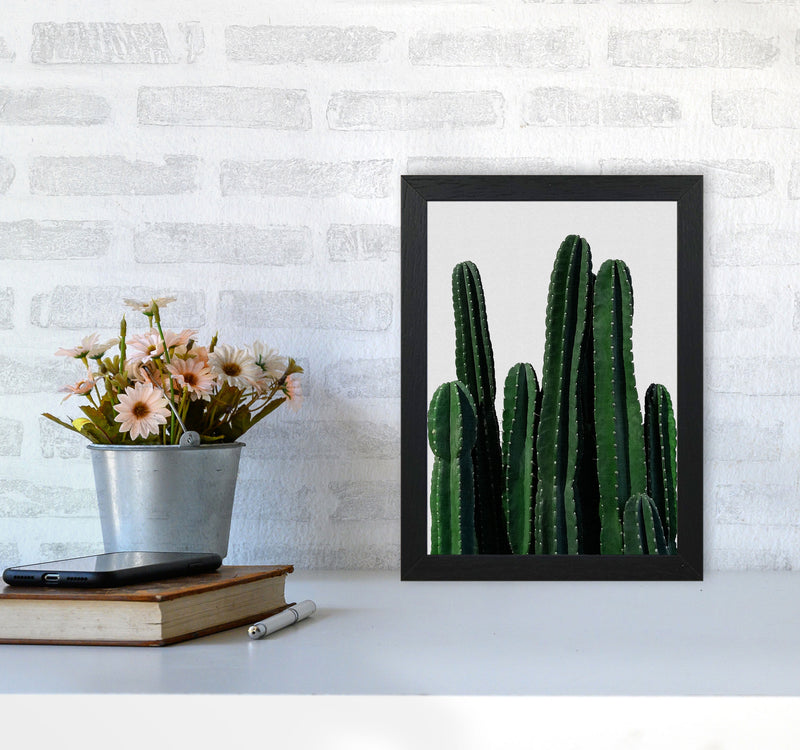 Cactus I Print By Orara Studio, Framed Botanical & Nature Art Print A4 White Frame