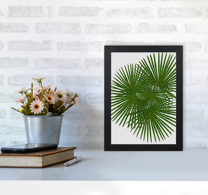 Fan Palm Print By Orara Studio, Framed Botanical & Nature Art Print A4 White Frame