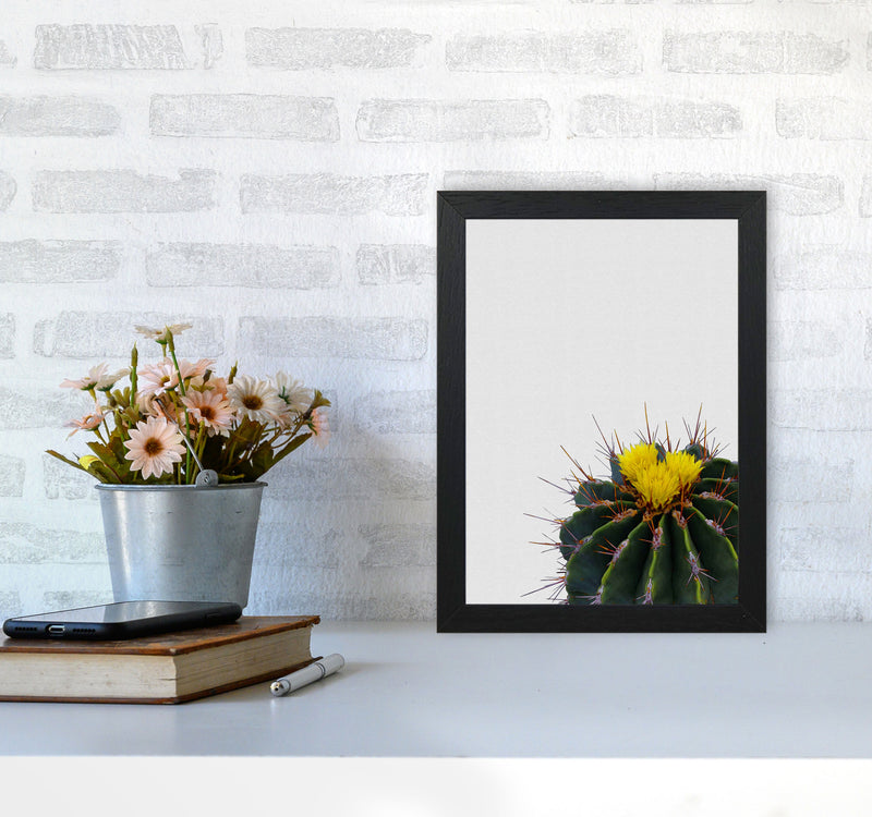 Flower Cactus Print By Orara Studio, Framed Botanical & Nature Art Print A4 White Frame