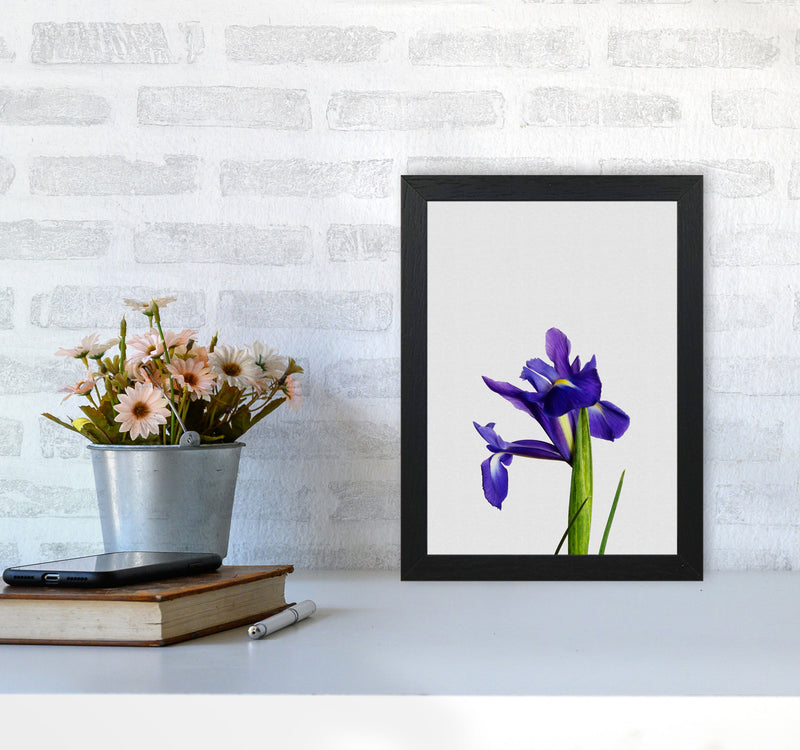 Iris Still Life Print By Orara Studio, Framed Botanical & Nature Art Print A4 White Frame