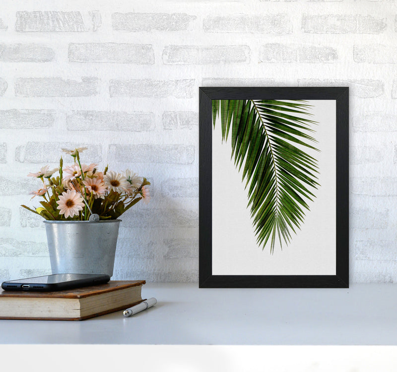 Palm Leaf I Print By Orara Studio, Framed Botanical & Nature Art Print A4 White Frame