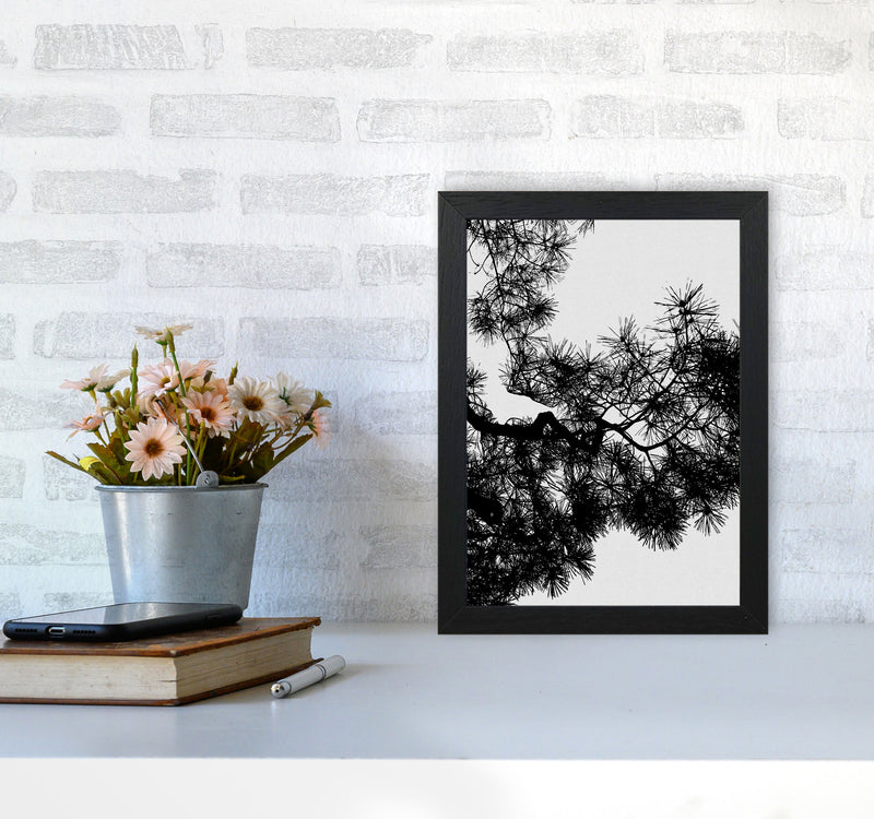 Pine Tree Black & White Print By Orara Studio A4 White Frame