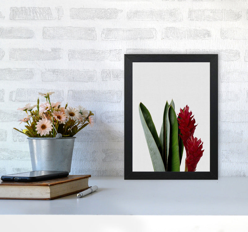 Red Flower Print By Orara Studio, Framed Botanical & Nature Art Print A4 White Frame
