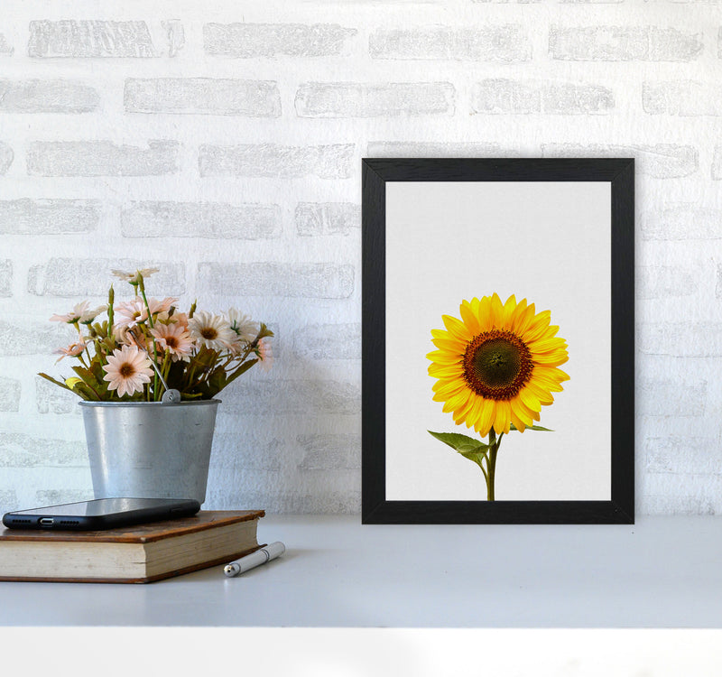 Sunflower Still Life Print By Orara Studio, Framed Botanical & Nature Art Print A4 White Frame