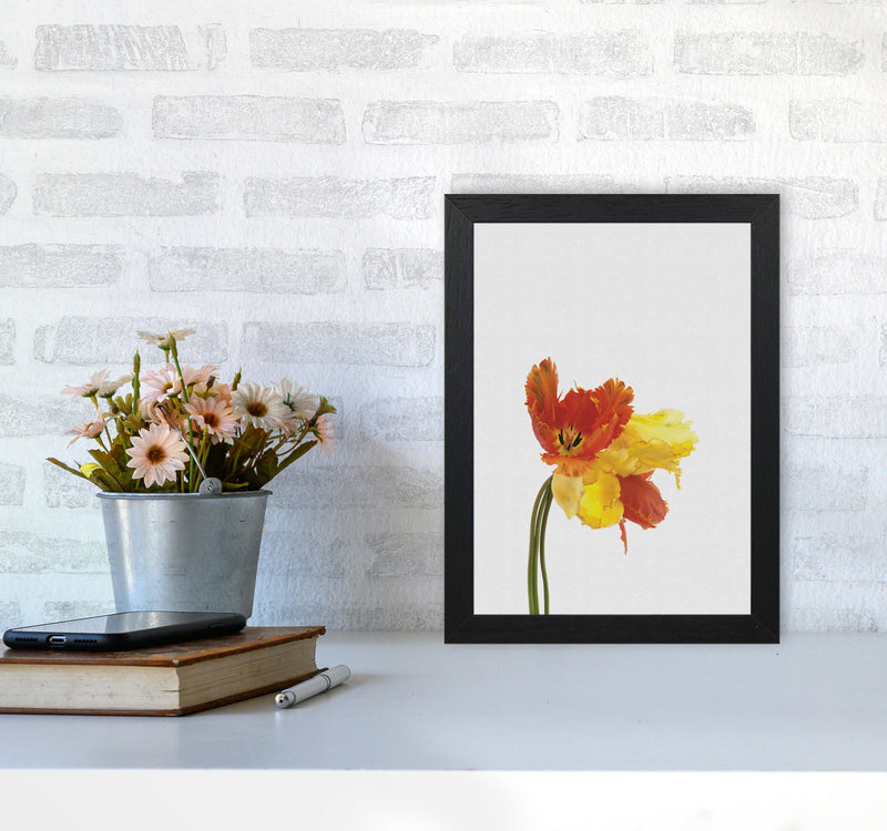 Tulip Still Life Print By Orara Studio, Framed Botanical & Nature Art Print A4 White Frame