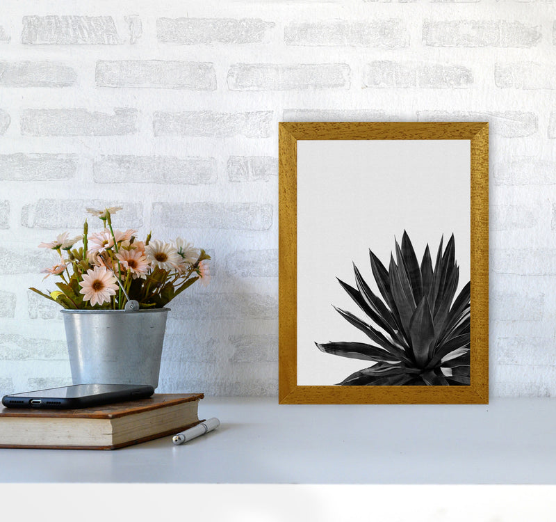 Agave Cactus Black And White Print By Orara Studio, Framed Botanical Nature Art A4 Print Only