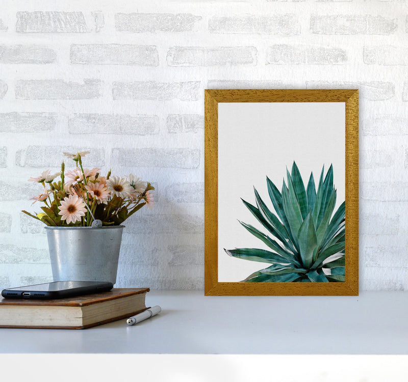 Agave Cactus Print By Orara Studio, Framed Botanical & Nature Art Print A4 Print Only