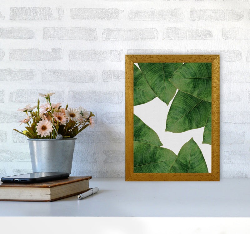 Banana Leaf II Print By Orara Studio, Framed Botanical & Nature Art Print A4 Print Only