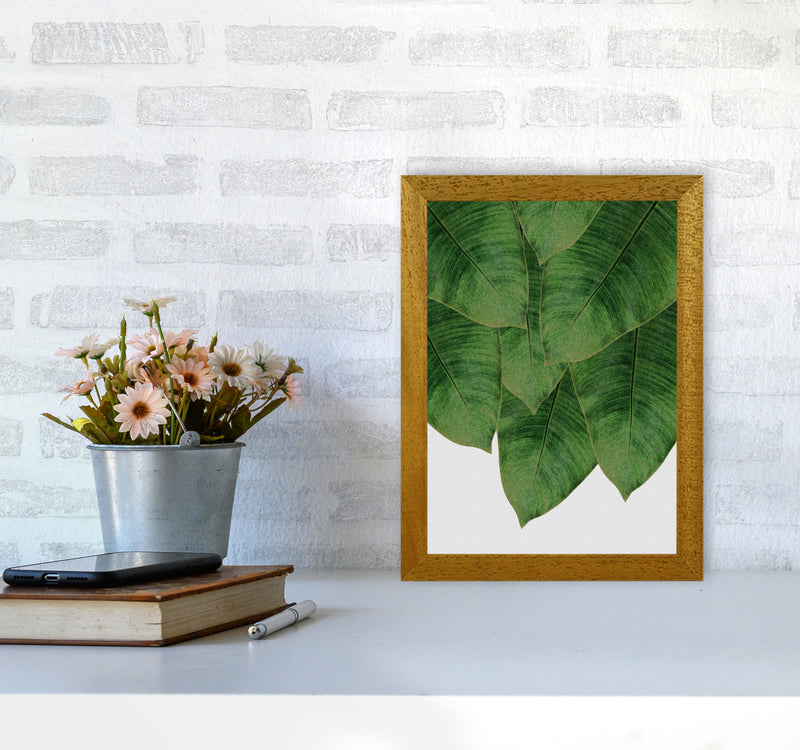 Banana Leaf III Print By Orara Studio, Framed Botanical & Nature Art Print A4 Print Only