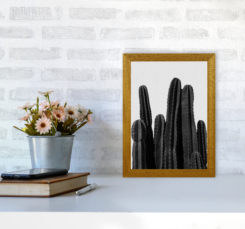 Cactus Black And White Print By Orara Studio, Framed Botanical Art A4 Print Only