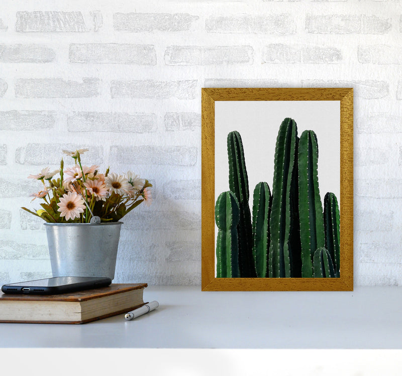 Cactus I Print By Orara Studio, Framed Botanical & Nature Art Print A4 Print Only