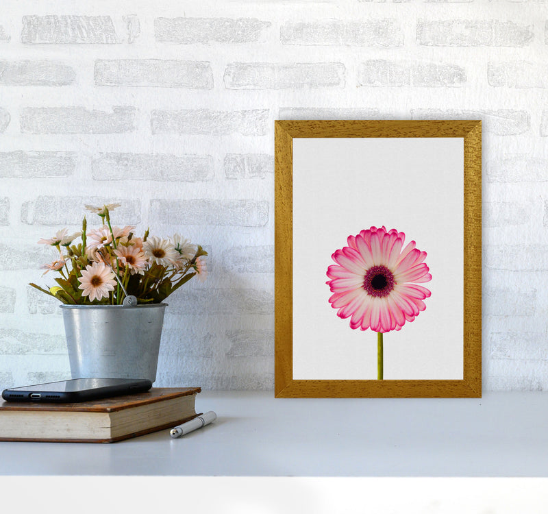 Daisy Still Life Print By Orara Studio, Framed Botanical & Nature Art Print A4 Print Only