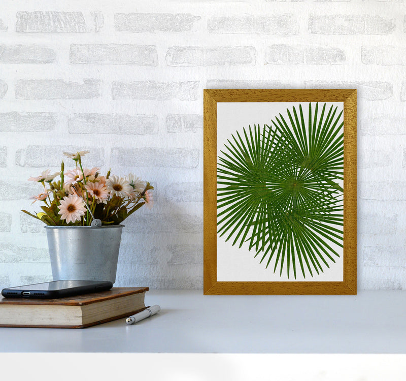 Fan Palm Print By Orara Studio, Framed Botanical & Nature Art Print A4 Print Only