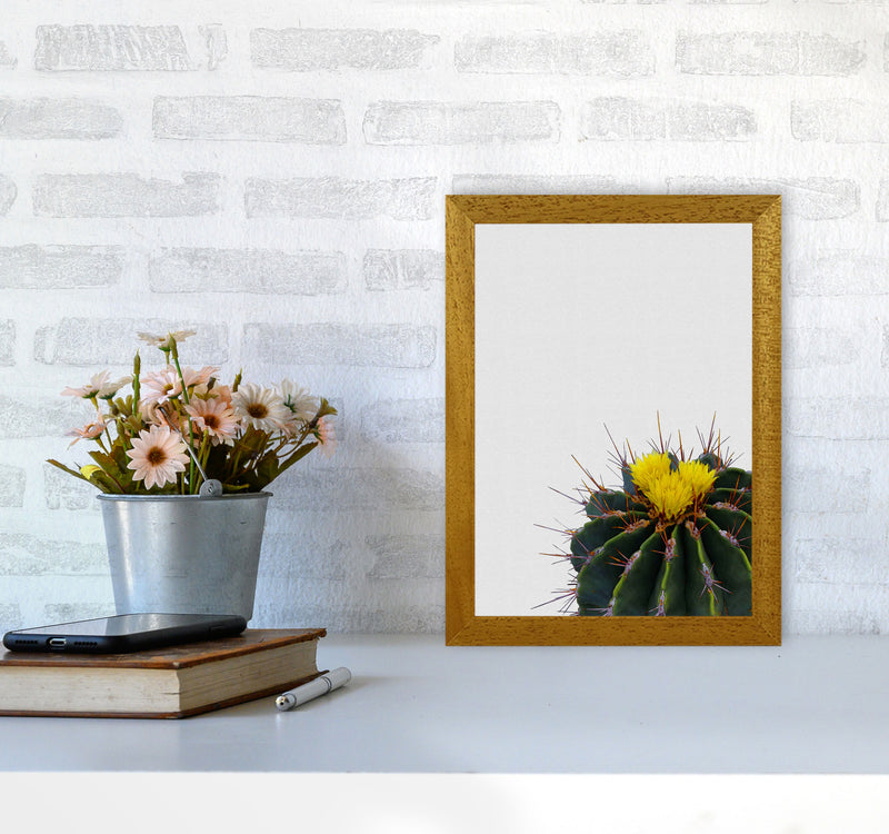 Flower Cactus Print By Orara Studio, Framed Botanical & Nature Art Print A4 Print Only