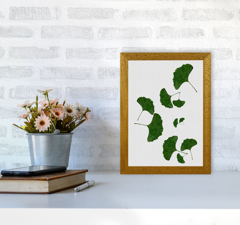 Ginkgo Leaf I Print By Orara Studio, Framed Botanical & Nature Art Print A4 Print Only