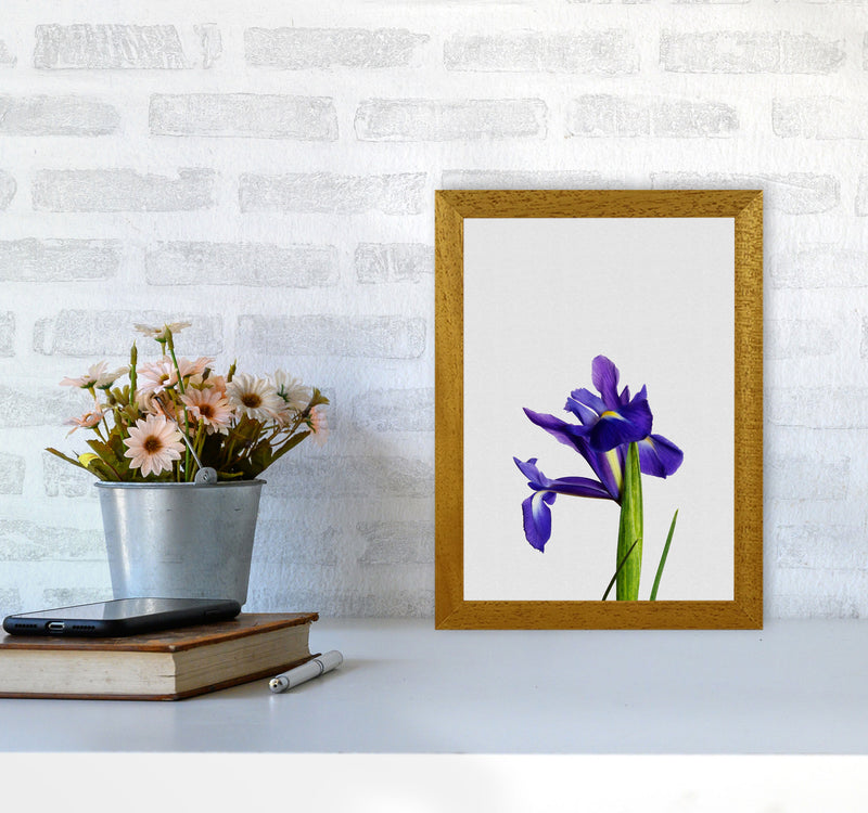 Iris Still Life Print By Orara Studio, Framed Botanical & Nature Art Print A4 Print Only