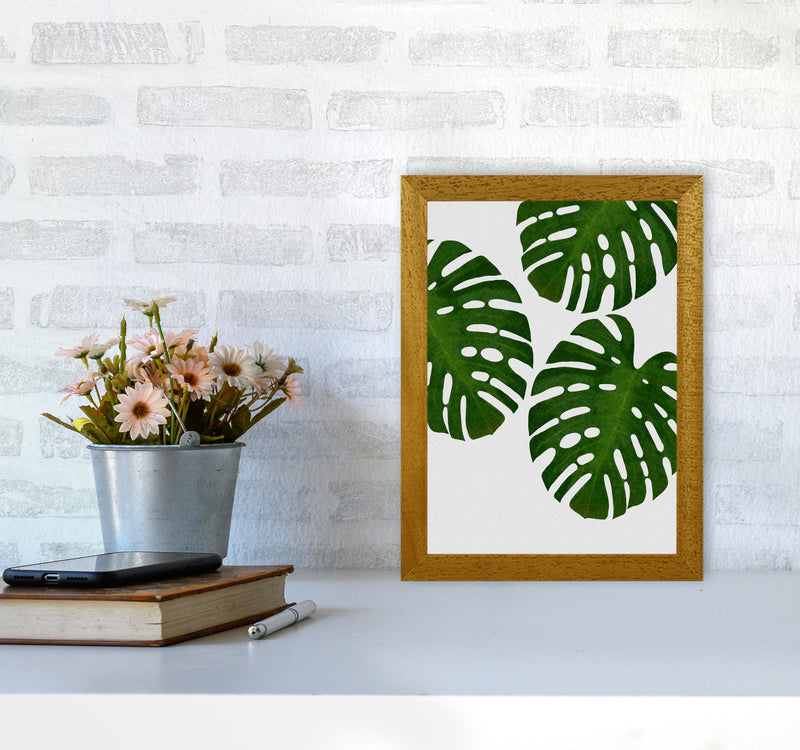 Monstera Leaf III Print By Orara Studio, Framed Botanical & Nature Art Print A4 Print Only