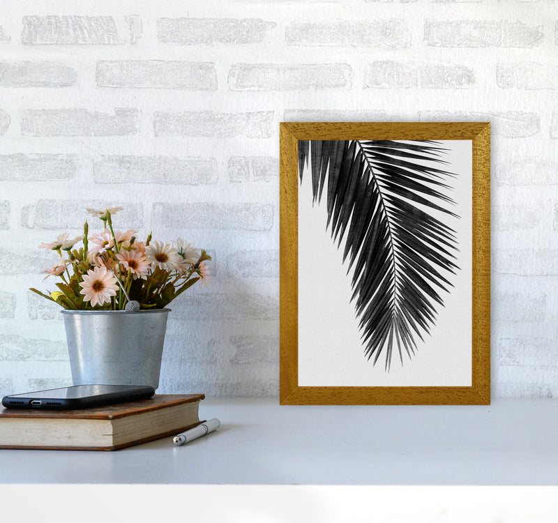 Palm Leaf Black & White I Print By Orara Studio A4 Print Only