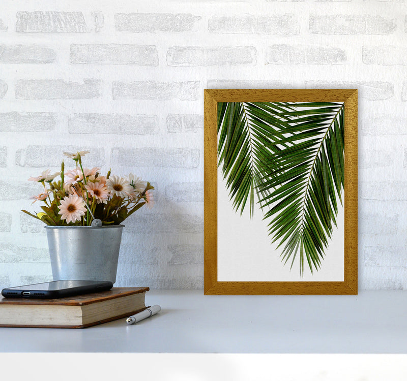 Palm Leaf II Print By Orara Studio, Framed Botanical & Nature Art Print A4 Print Only