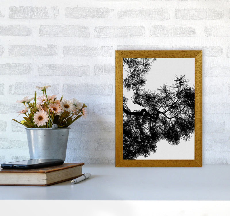 Pine Tree Black & White Print By Orara Studio A4 Print Only