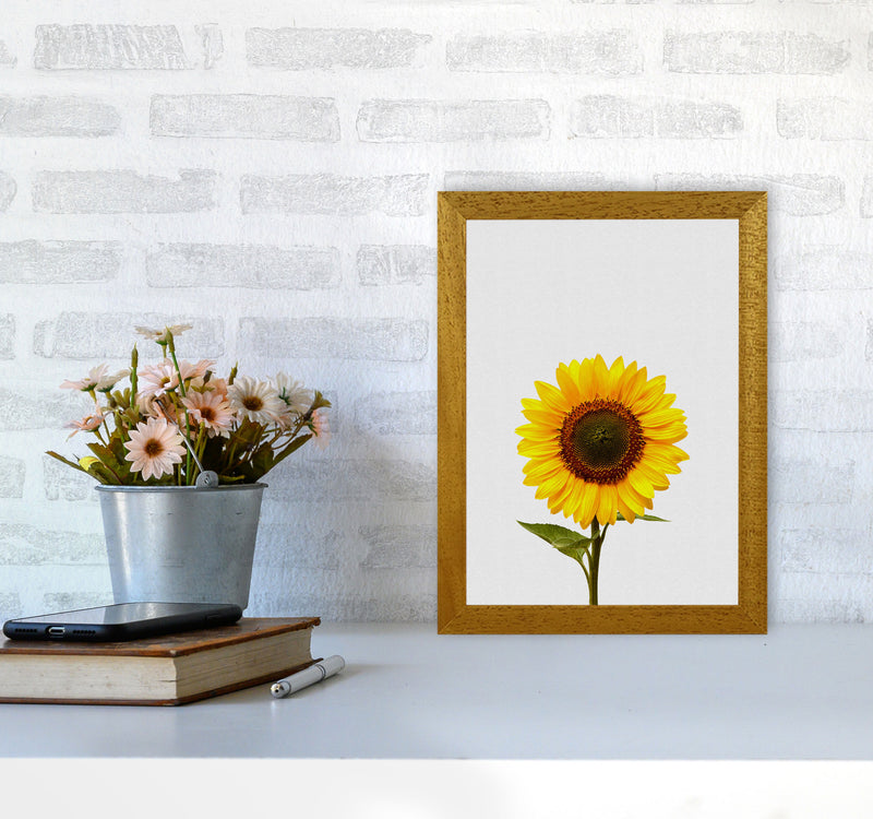 Sunflower Still Life Print By Orara Studio, Framed Botanical & Nature Art Print A4 Print Only