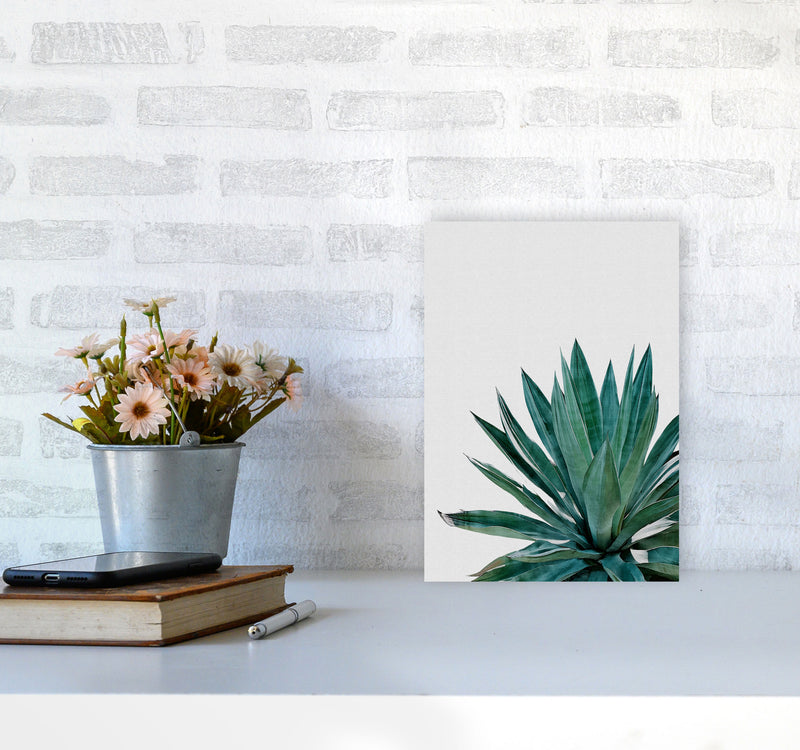 Agave Cactus Print By Orara Studio, Framed Botanical & Nature Art Print A4 Black Frame