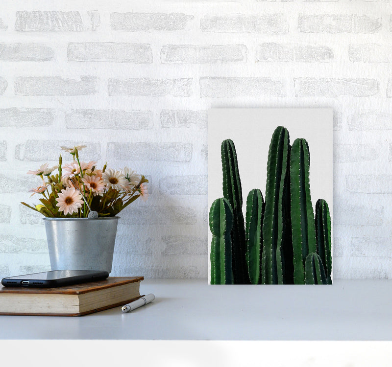 Cactus I Print By Orara Studio, Framed Botanical & Nature Art Print A4 Black Frame