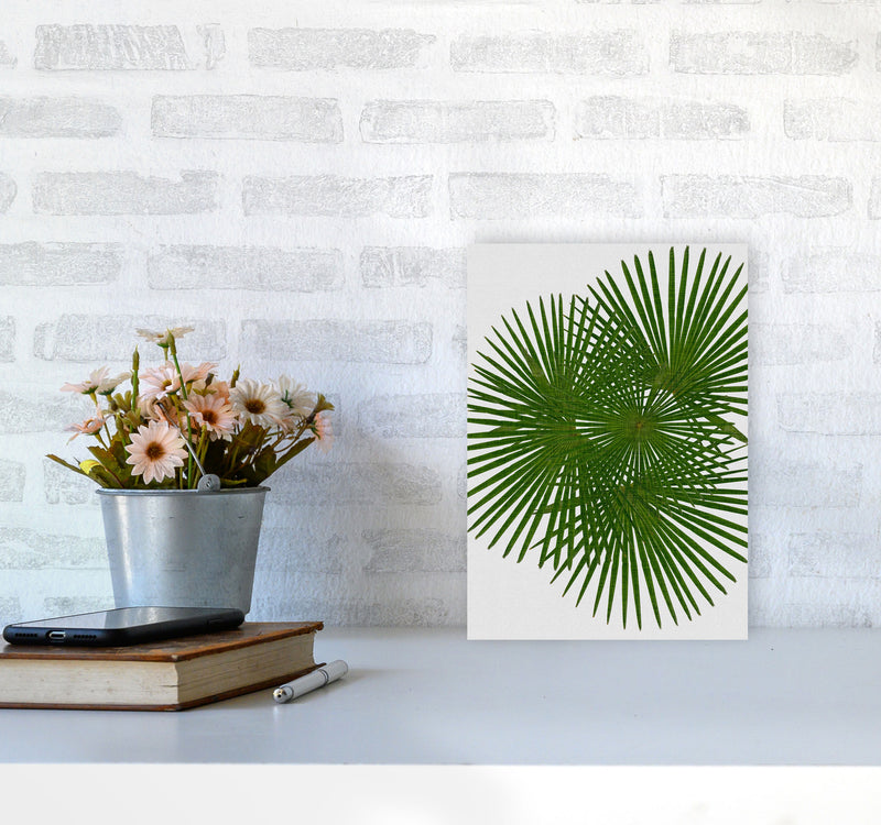 Fan Palm Print By Orara Studio, Framed Botanical & Nature Art Print A4 Black Frame