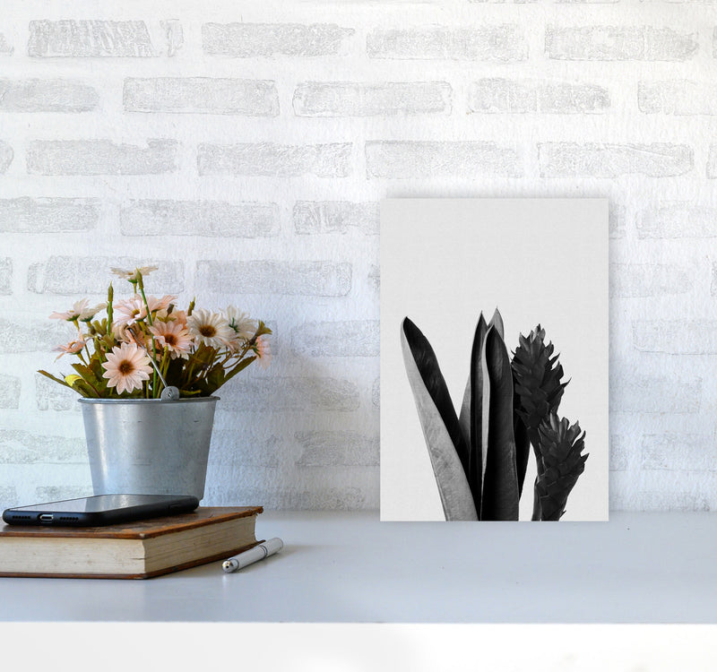 Flower Black & White Print By Orara Studio A4 Black Frame