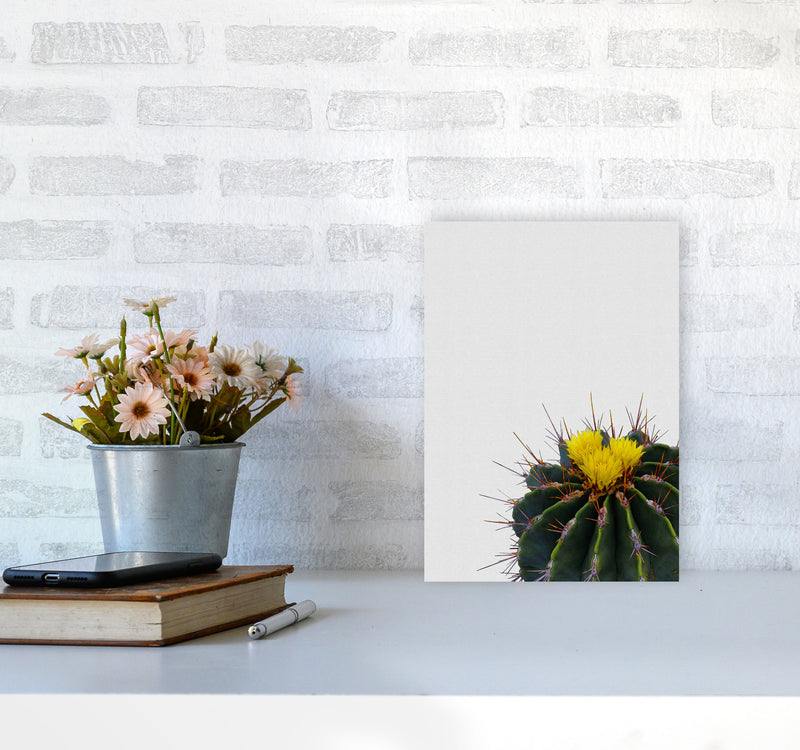 Flower Cactus Print By Orara Studio, Framed Botanical & Nature Art Print A4 Black Frame