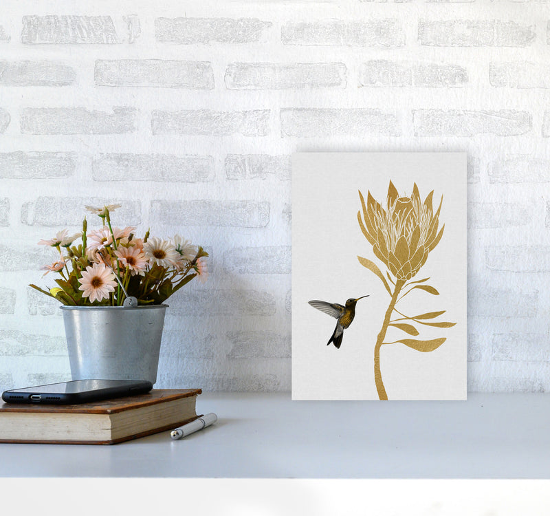 Hummingbird & Flower I Print By Orara Studio A4 Black Frame