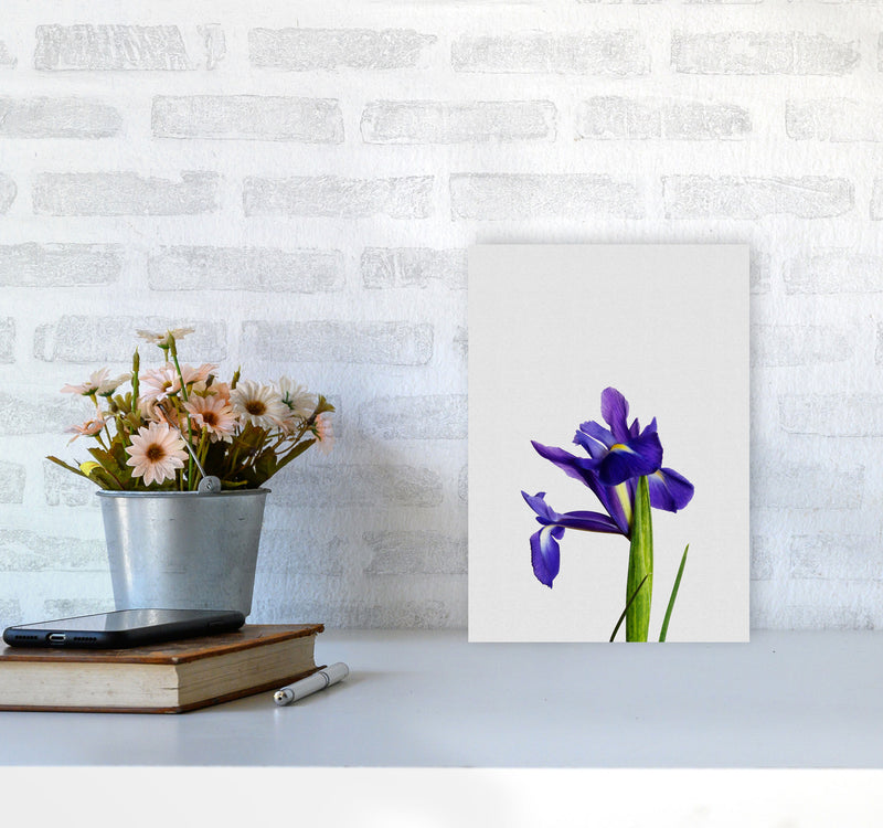Iris Still Life Print By Orara Studio, Framed Botanical & Nature Art Print A4 Black Frame