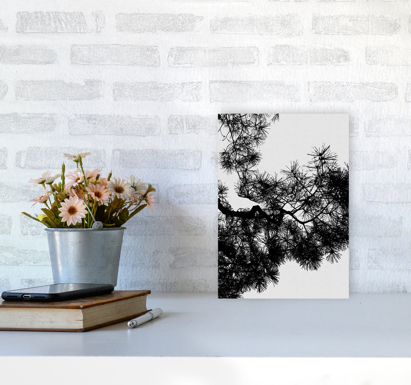 Pine Tree Black & White Print By Orara Studio A4 Black Frame