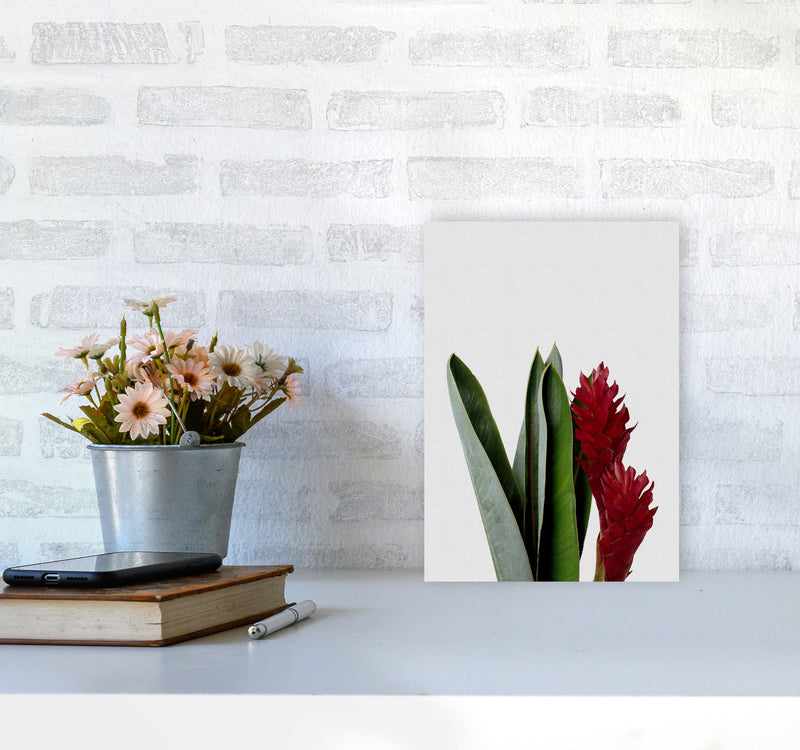 Red Flower Print By Orara Studio, Framed Botanical & Nature Art Print A4 Black Frame