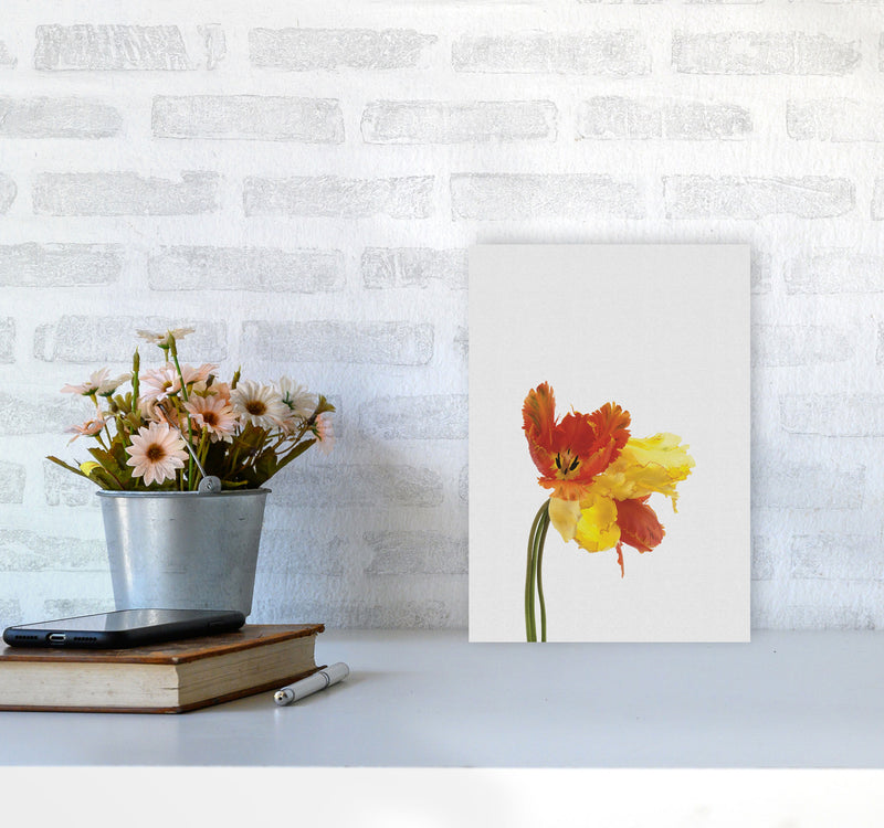 Tulip Still Life Print By Orara Studio, Framed Botanical & Nature Art Print A4 Black Frame