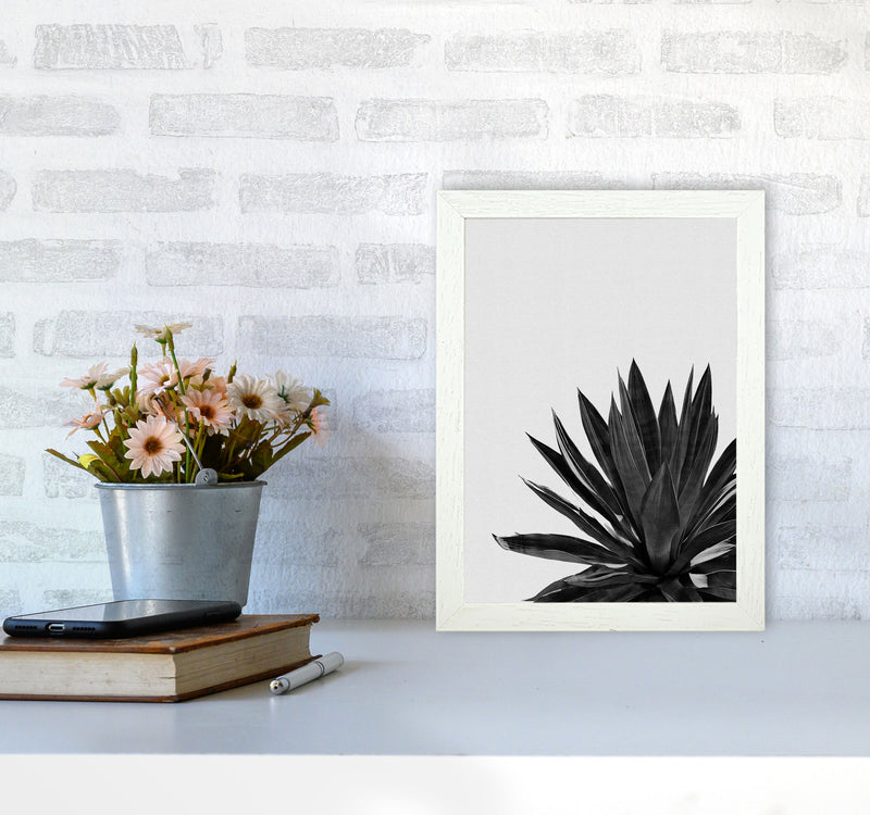 Agave Cactus Black And White Print By Orara Studio, Framed Botanical Nature Art A4 Oak Frame