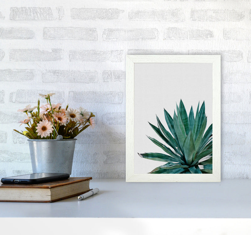 Agave Cactus Print By Orara Studio, Framed Botanical & Nature Art Print A4 Oak Frame
