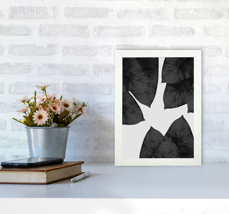 Banana Leaf Black & White I Print By Orara Studio A4 Oak Frame