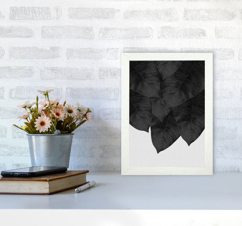 Banana Leaf Black & White III Print By Orara Studio A4 Oak Frame