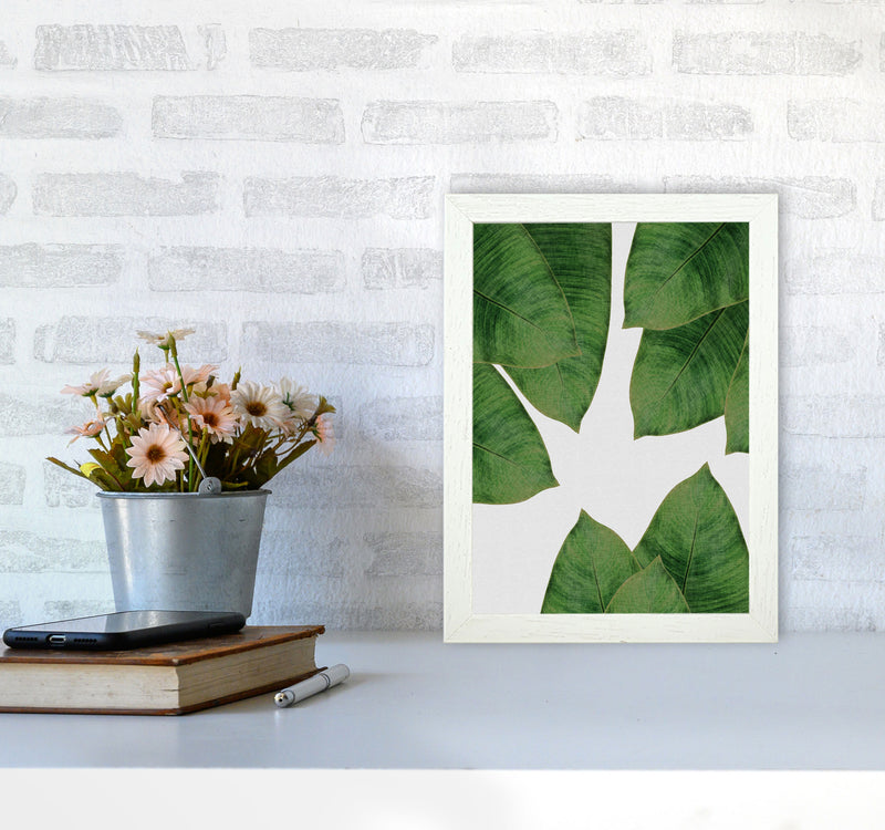 Banana Leaf I Print By Orara Studio, Framed Botanical & Nature Art Print A4 Oak Frame
