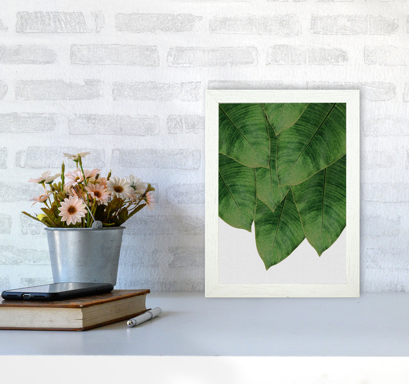 Banana Leaf III Print By Orara Studio, Framed Botanical & Nature Art Print A4 Oak Frame