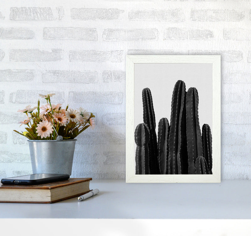 Cactus Black And White Print By Orara Studio, Framed Botanical Art A4 Oak Frame