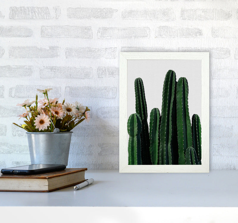 Cactus I Print By Orara Studio, Framed Botanical & Nature Art Print A4 Oak Frame