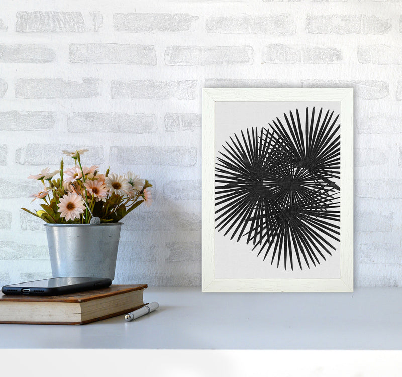 Fan Palm Black & White Print By Orara Studio A4 Oak Frame