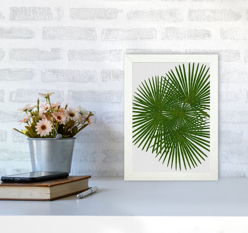 Fan Palm Print By Orara Studio, Framed Botanical & Nature Art Print A4 Oak Frame